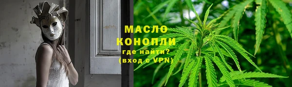 МДПВ Протвино