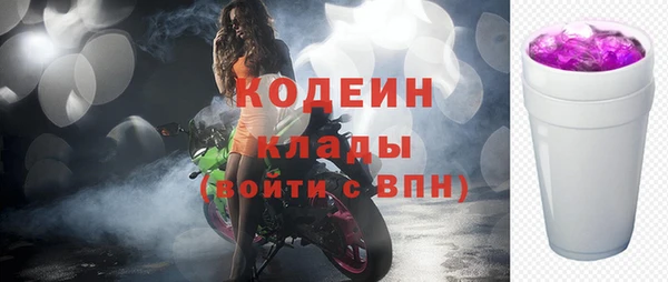МДПВ Протвино