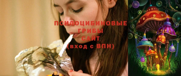 МДПВ Протвино