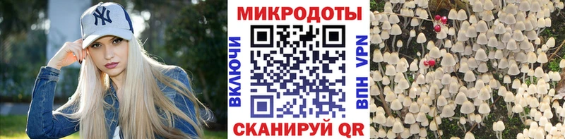 Псилоцибиновые грибы Psilocybe  KRAKEN ССЫЛКА  Белый 